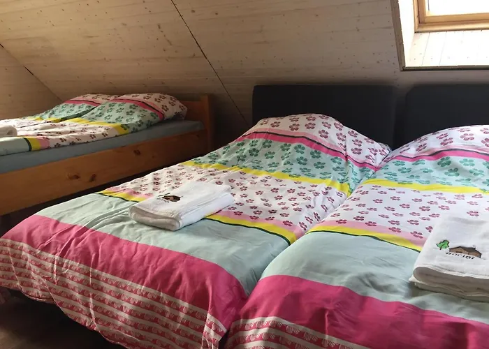 Guest Home \